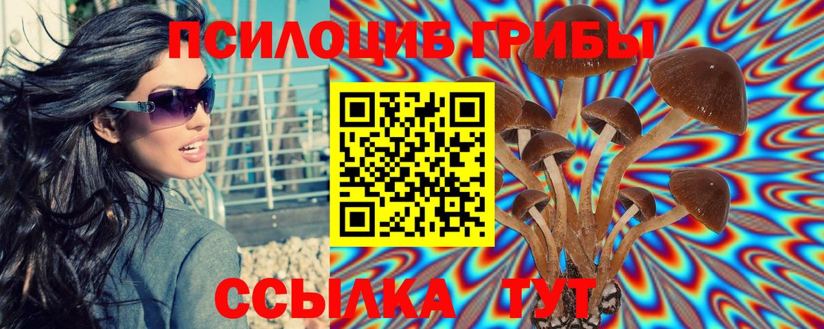 Псилоцибиновые грибы мицелий  Вход с VPN  купить наркоту  Хабаровск 